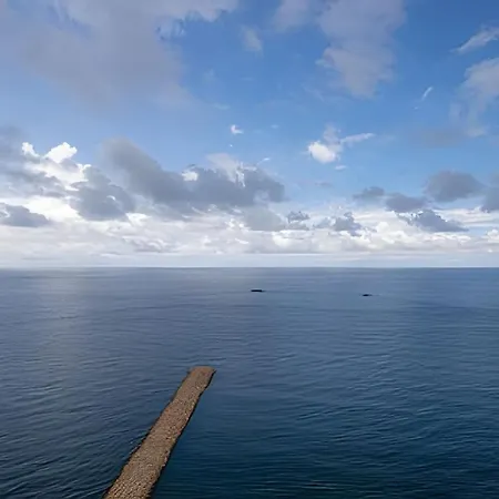 Laurdhomes Palmetto Sea View, 2rooms 2bth Hot Ware Apartamento
